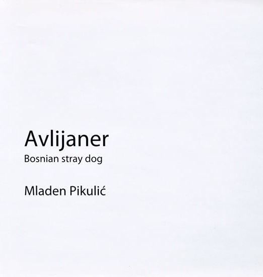 cover of book avlijaneri