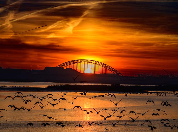 brinnenoordbrug bij zonsonergang