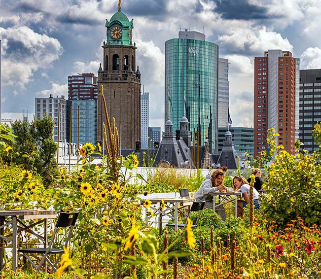 leuke dakterras in rotterdam